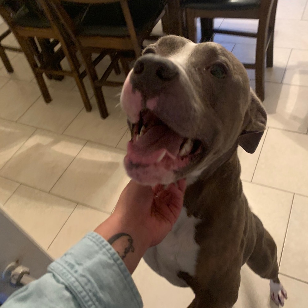 Meet your Posher, Briana